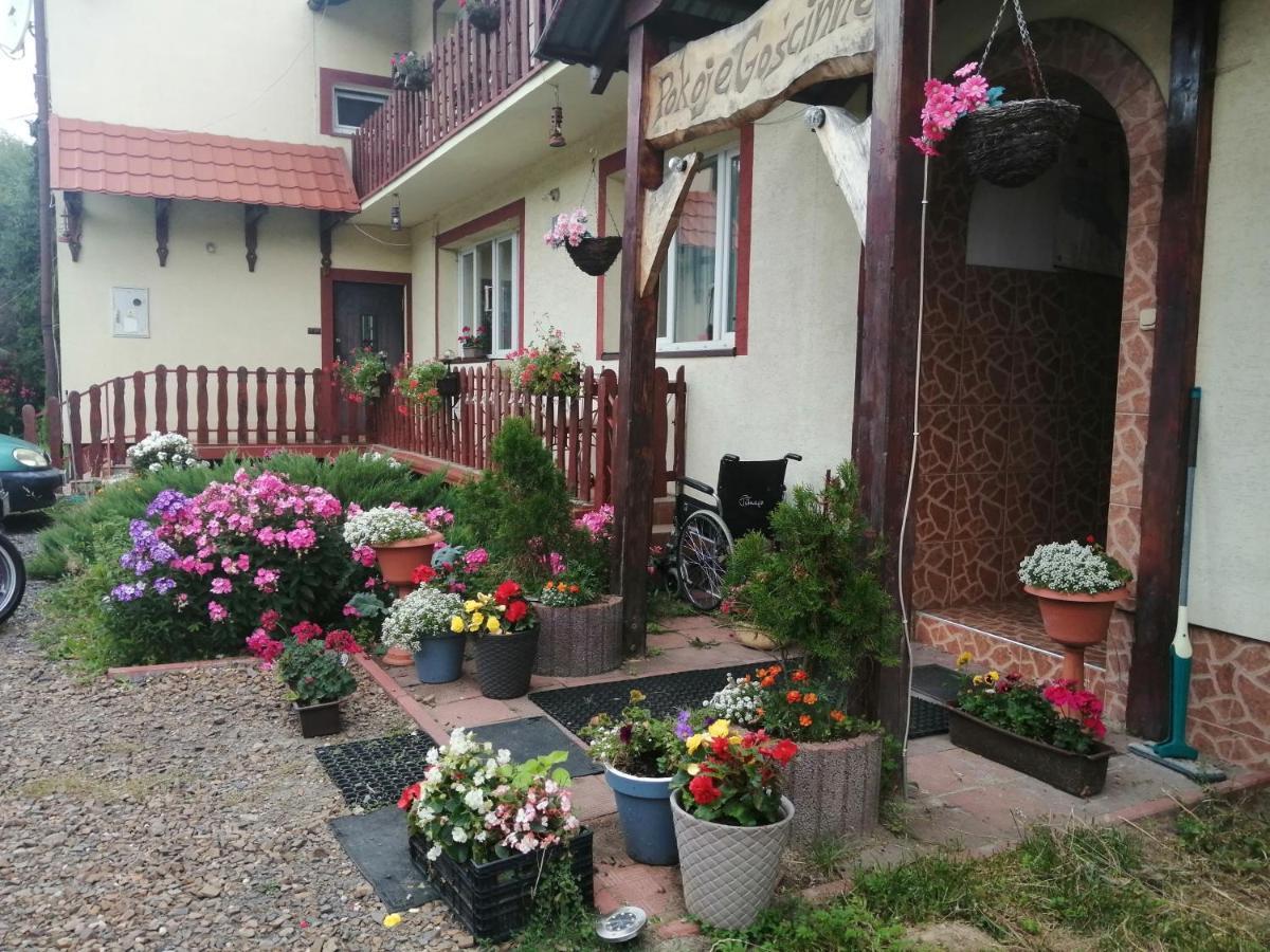Jasionka Apartamento Ustrzyki Dolne Exterior foto