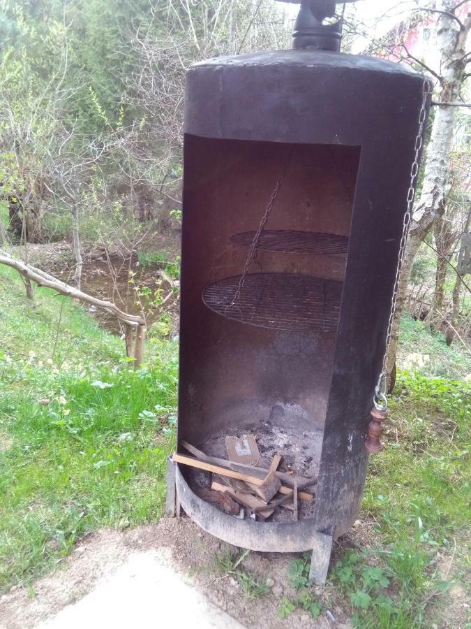 Jasionka Apartamento Ustrzyki Dolne Exterior foto